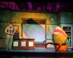Little Shop of Horrors